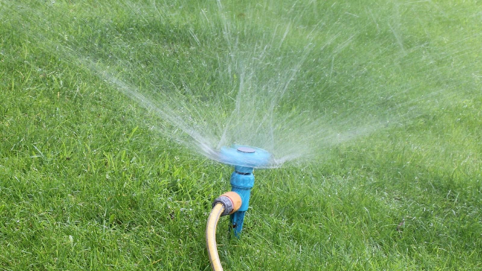 watering new grass seed
