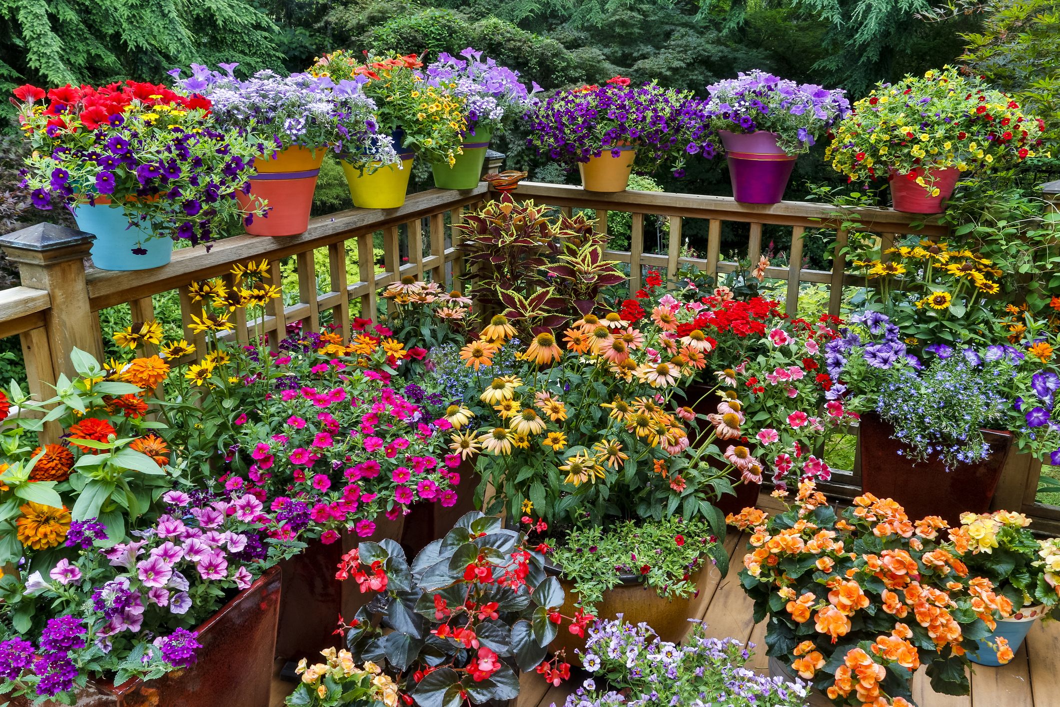 flower pots in flower beds