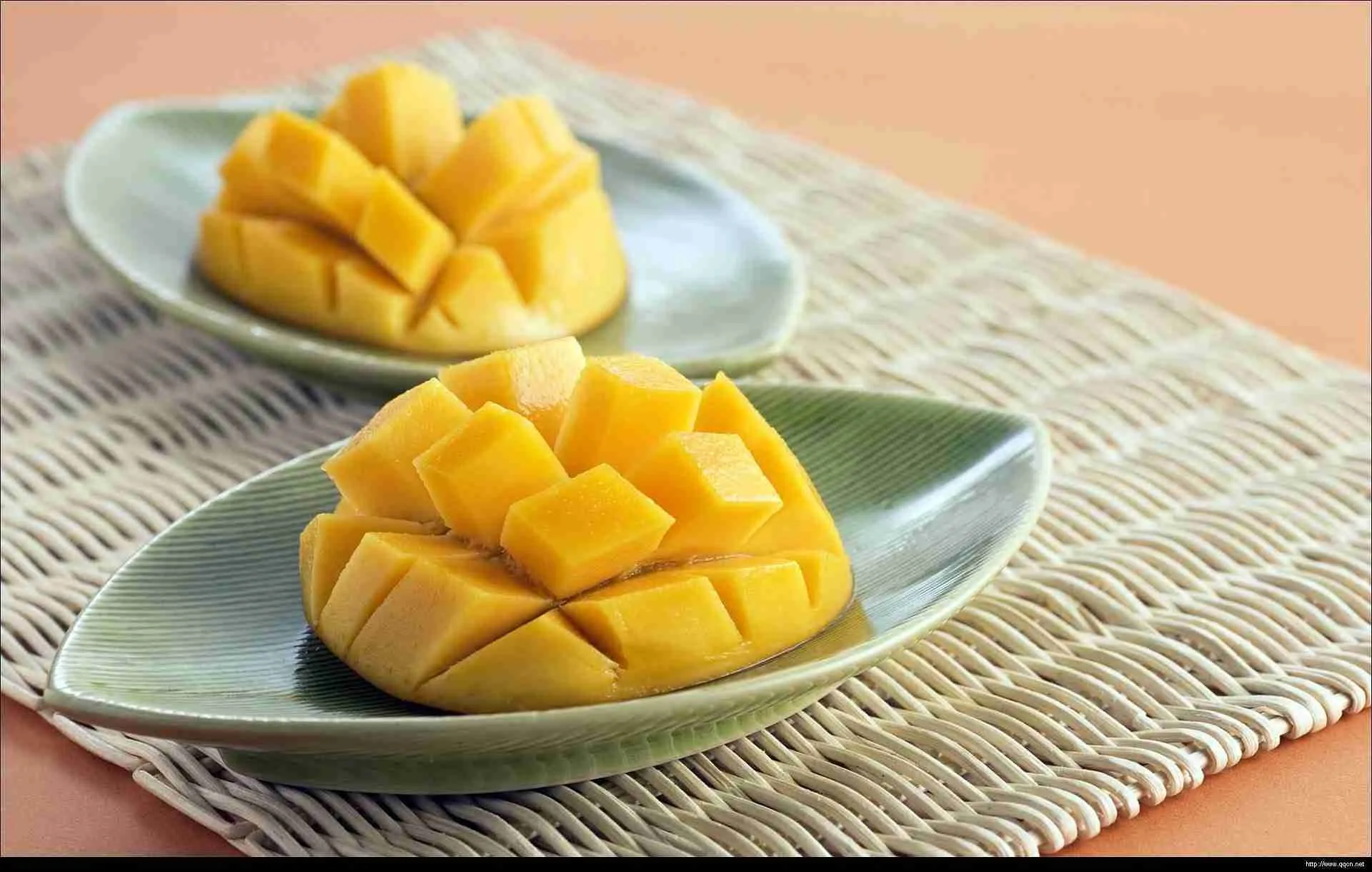 How to Grow Mango Seed: A Guide to Cultivating Tropical Delights插图4