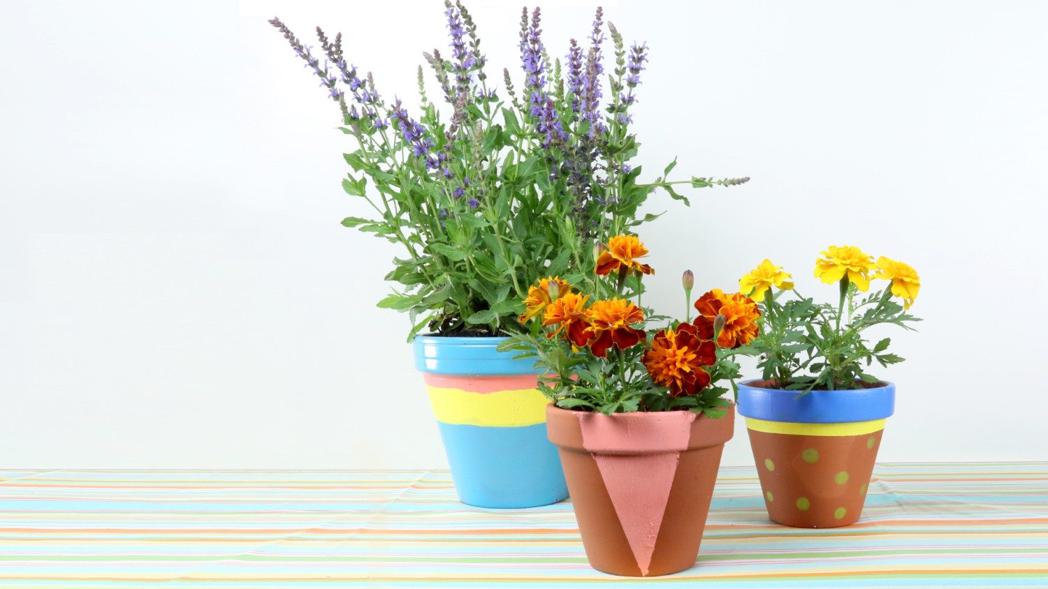 DIY Delight: Transforming Flower Pots with Paint缩略图