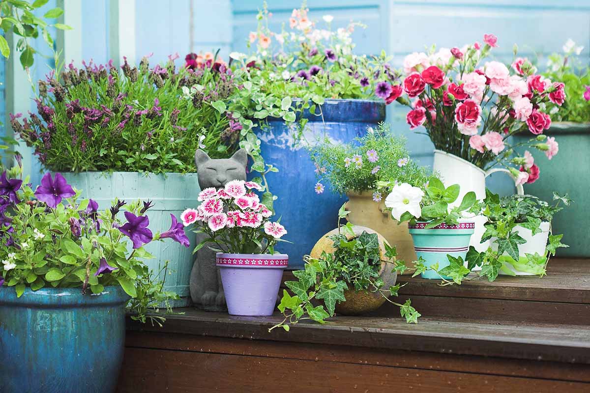 Flower Pots: Creative Ideas for Enhancing缩略图
