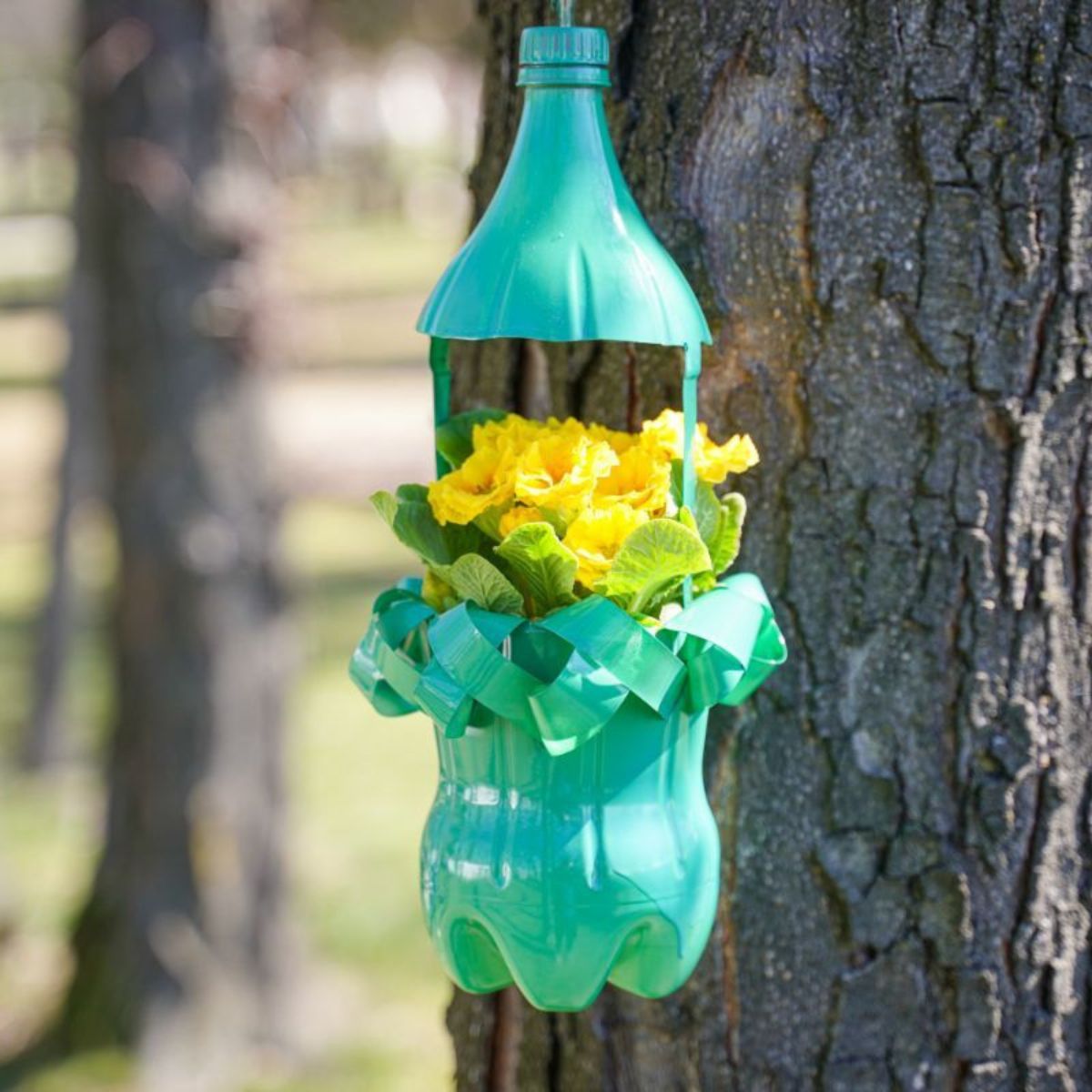 Crafting Plastic Bottle DIY Flower Pots插图4