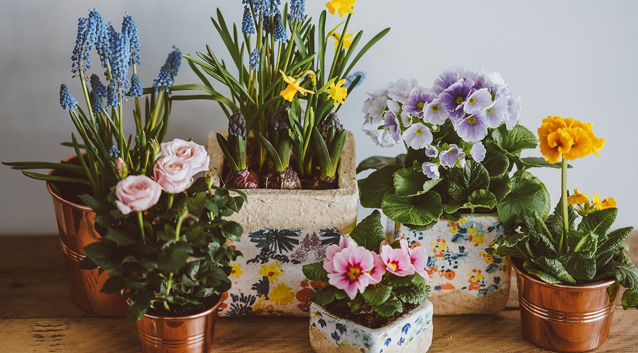 Flower Pots: Creative Ideas for Enhancing插图4
