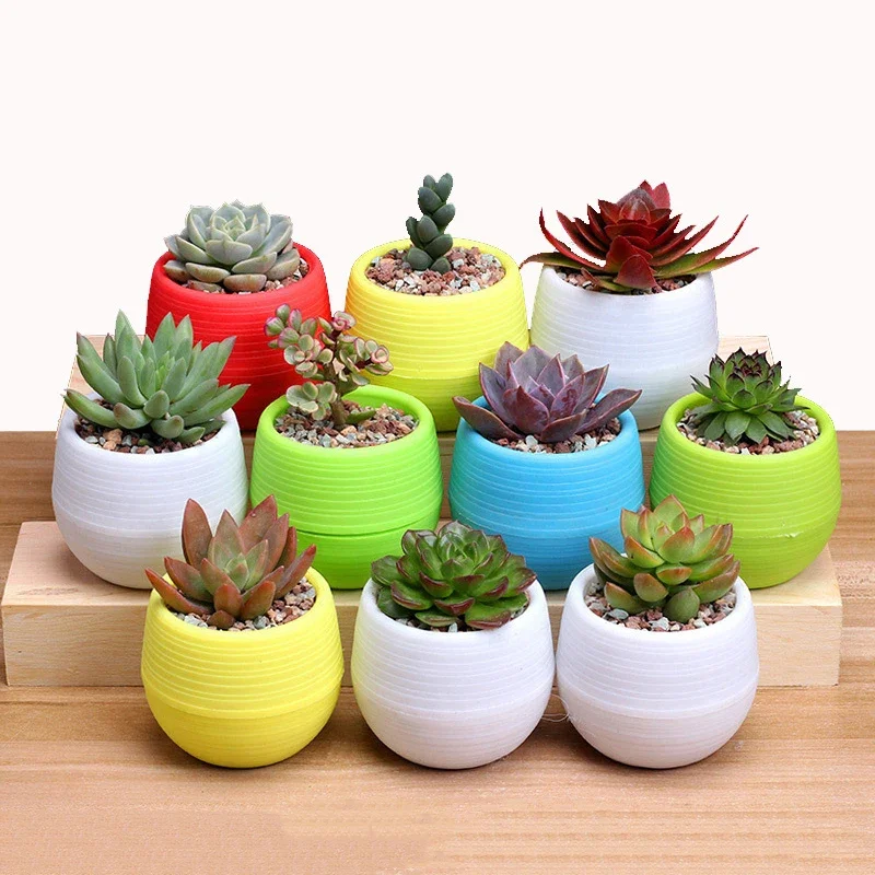 paint plastic flower pots