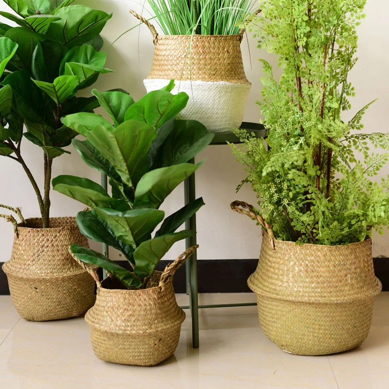 flower pots around pool