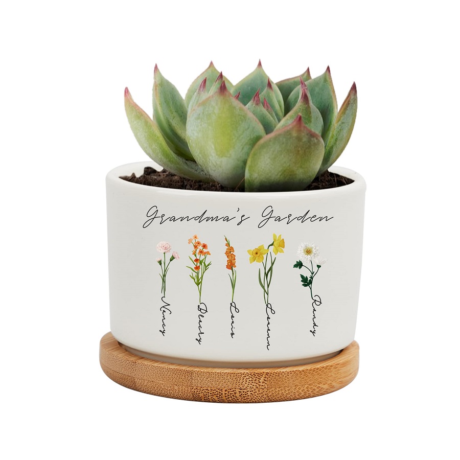 family dollar flower pots