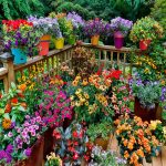 Beautify Spaces with Flower Pots in Beds: A Gardening Guide