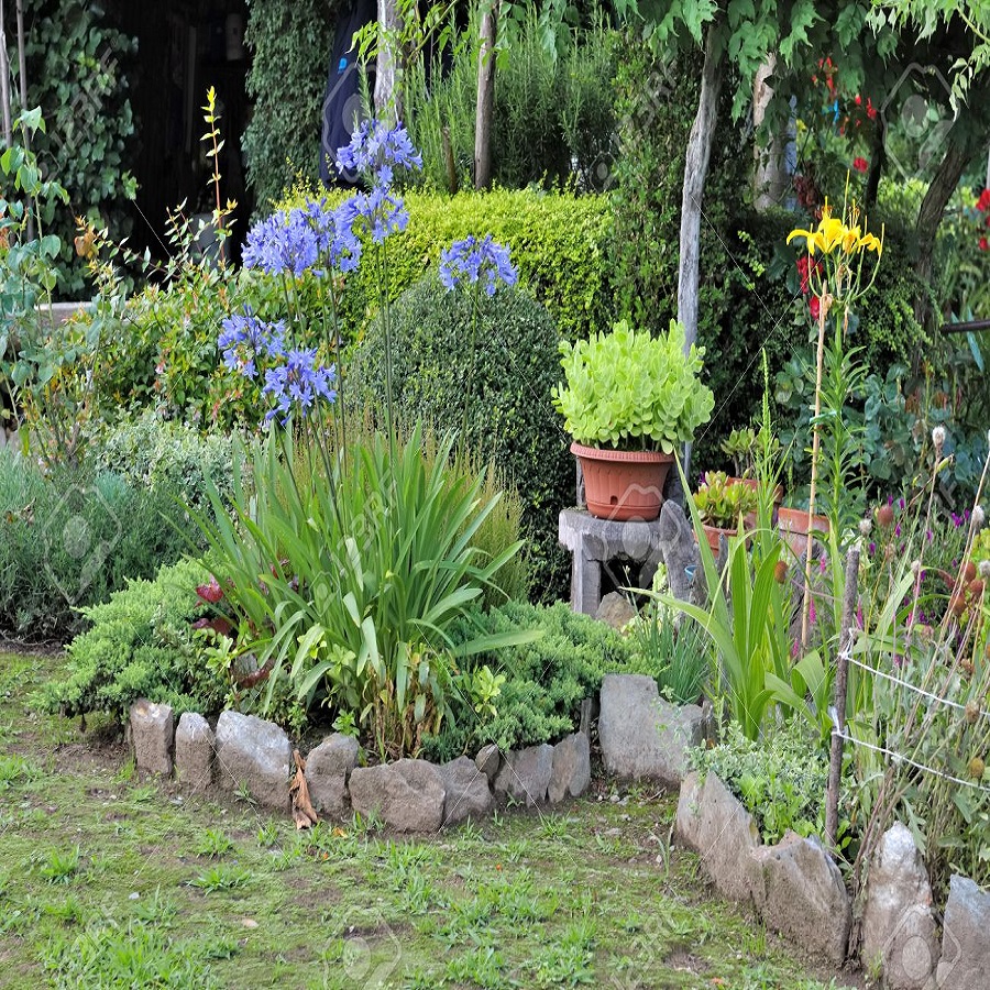 pots in flower bed