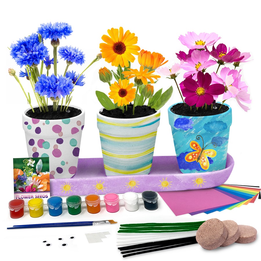 paint flower pots