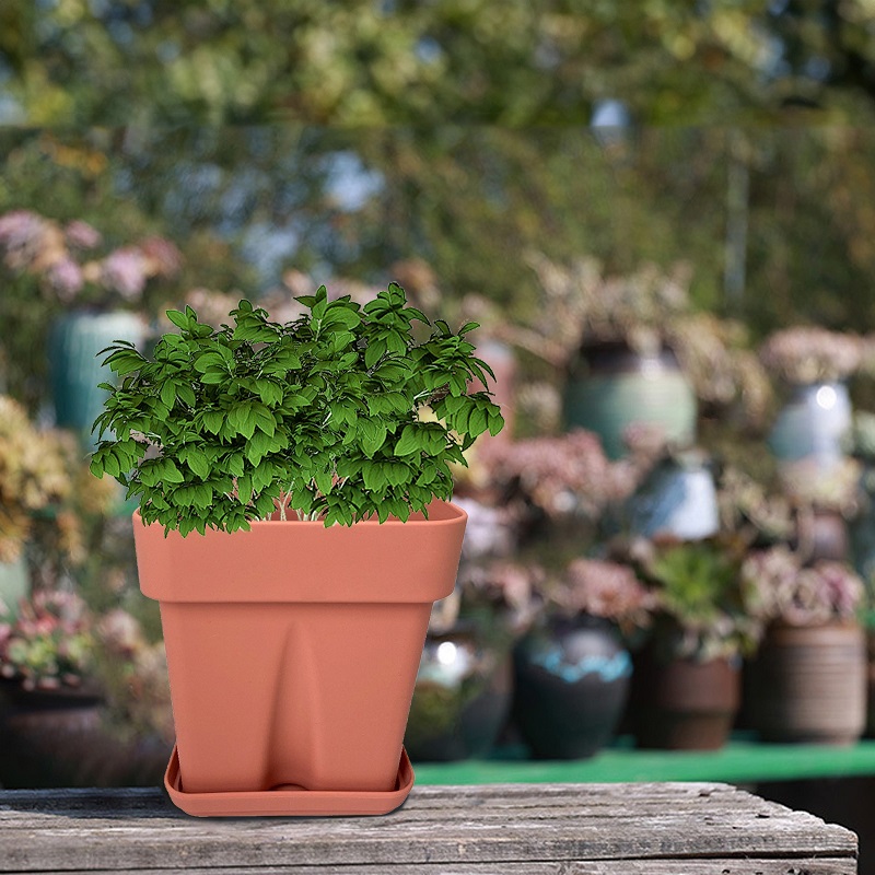 decorating flower pots