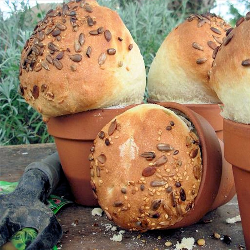 baking flower pots