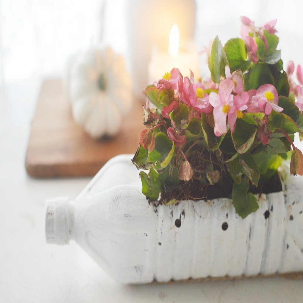 plastic bottle diy flower pots