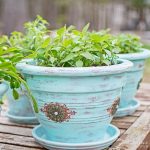 Revamp Your Garden: Creative Flower Pot Painted