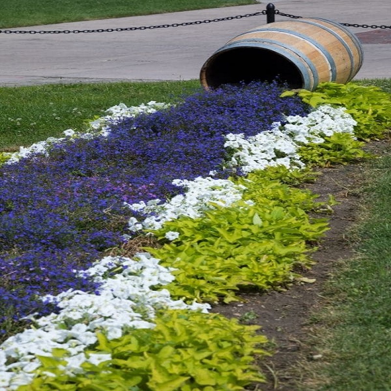 spilled tilted flower pots