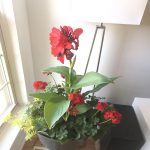 Costco Flower Pots: Stylish Home Gardening Essentials