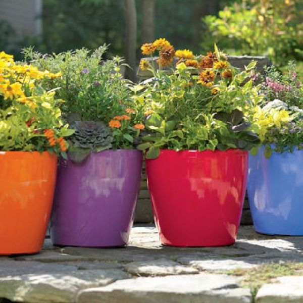 best color combinations for flower pots