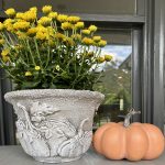 Transforming Plastic flower Pots: Cement Look-Alike Techniques