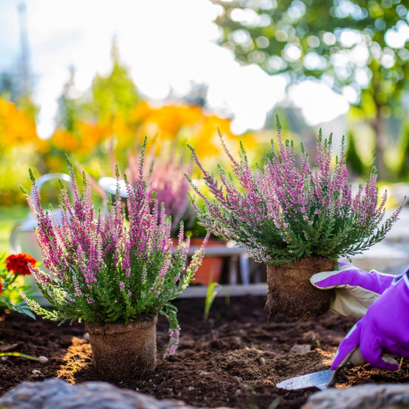 using pool noodles in flower pots