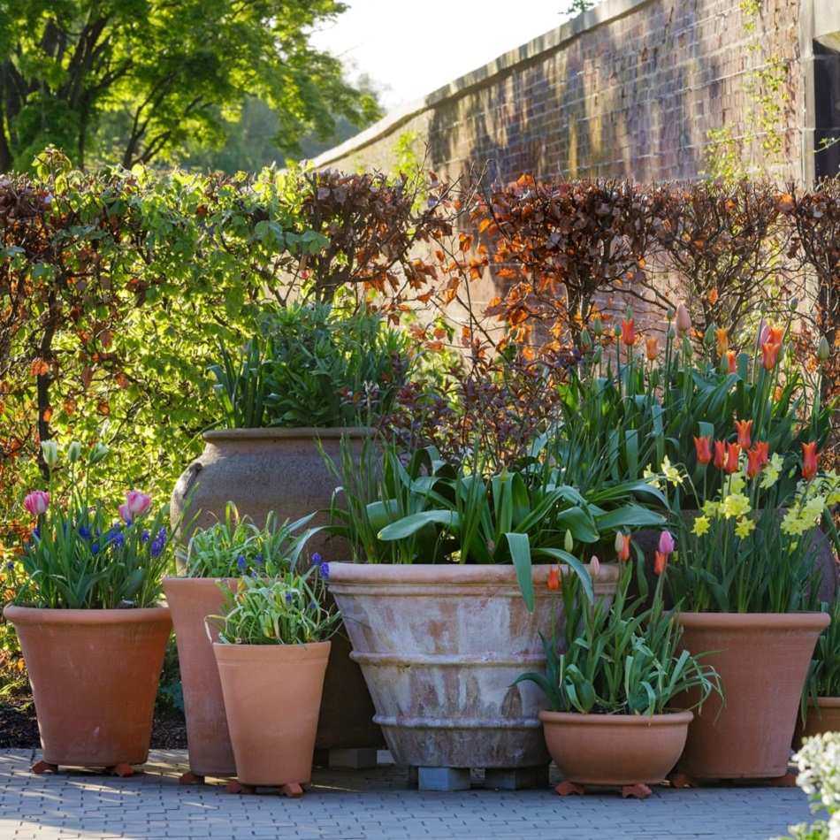 using pots in flower beds