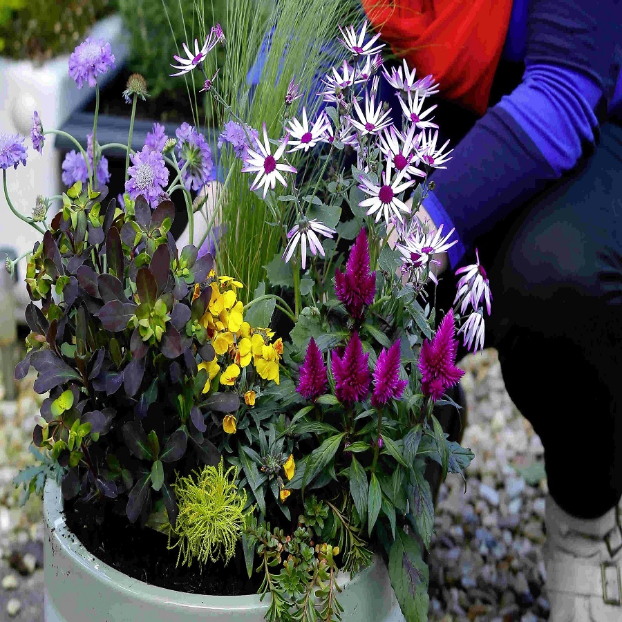 how to arrange flower pots outdoor
