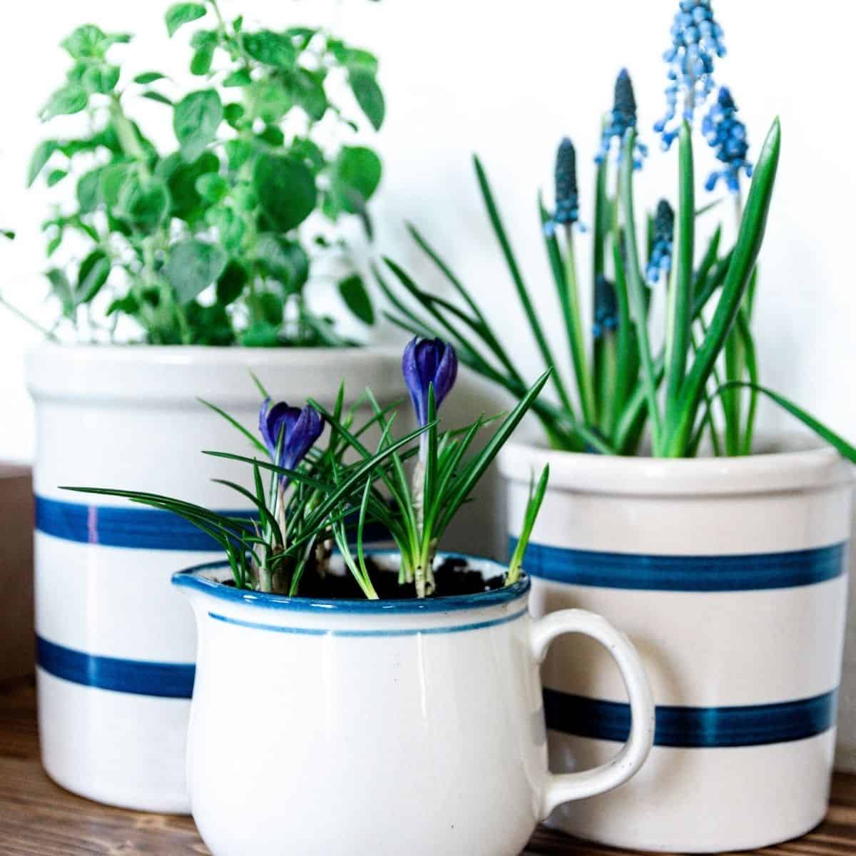 repurpose flower pots