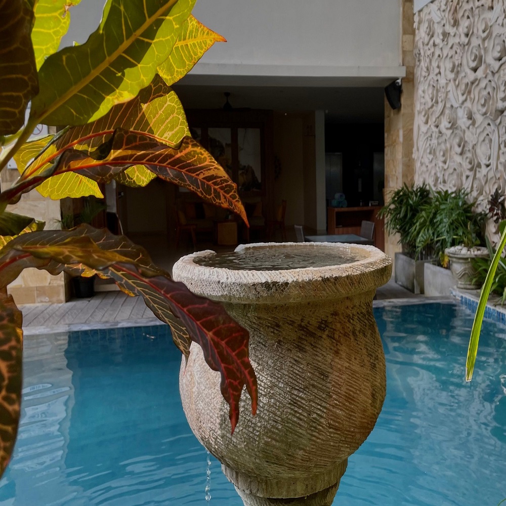 flower pots around pool