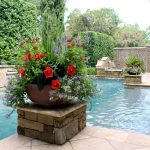 5 Poolside Planters Ideas to Elevate Your Oasis