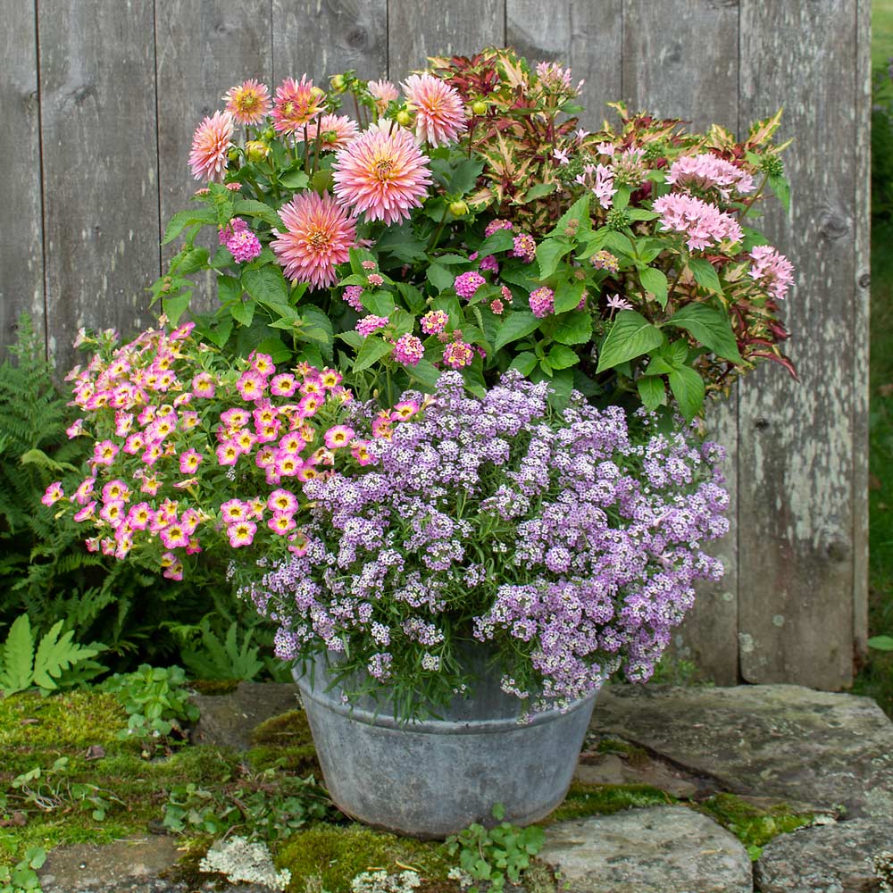 using flower pots in flower beds