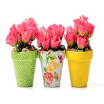 Create Crafting Charm: Fabric-Adorned Flower Pots Guide