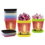 Revamp Your Garden: Paint Plastic Flower Pots for Outdoors