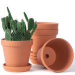 Revitalize Your Gardening Gear: Easy Clay Pots Cleaning Tips