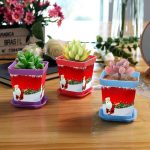 Flower Pots Choosing: Decorate Your Home For Christmas?