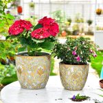 Step-by-Step Guide to Crafting Concrete Flower Pots for Home