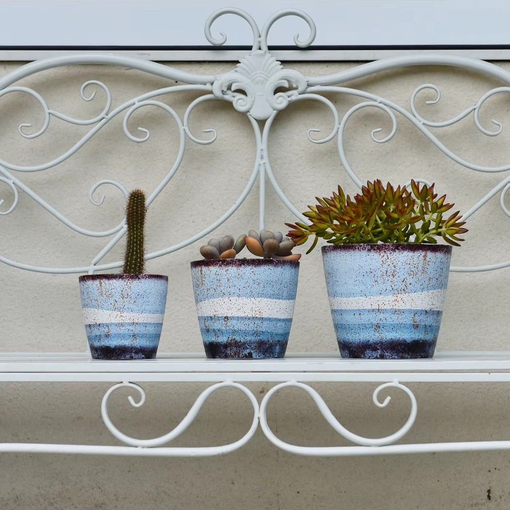 gnats in flower pots