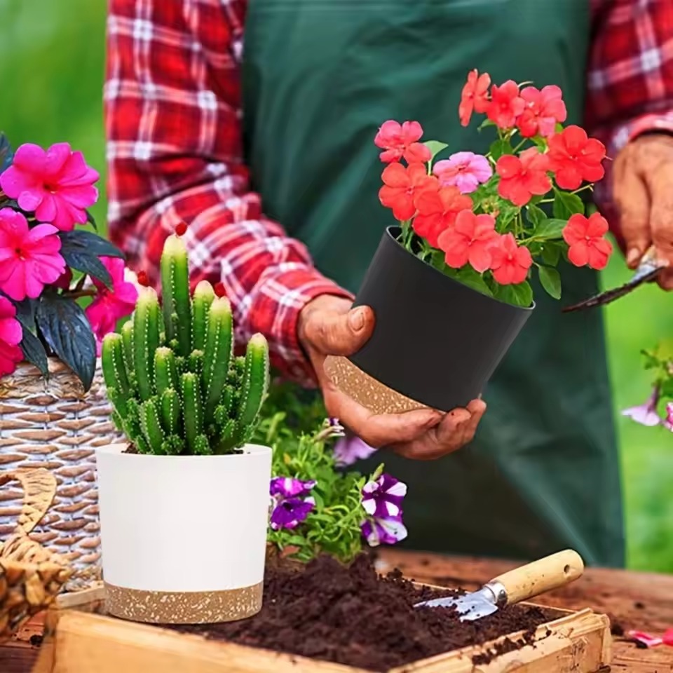 how to get rid of ants in my flower pots
