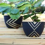 Home Operation Guide: Creative Painted Flower Pots Projects