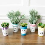 Production Tips: DIY Painted Flower Pots for Every Occasion