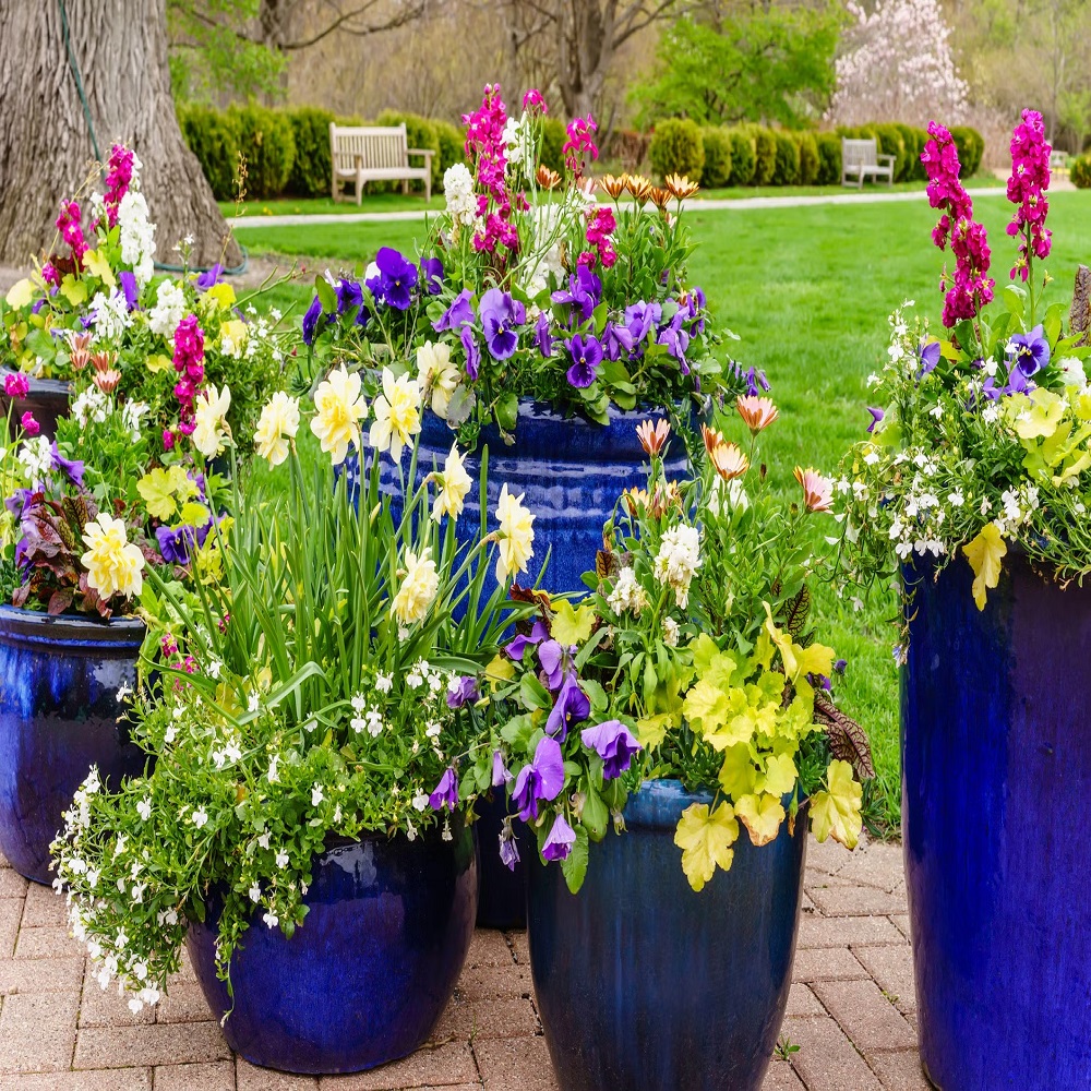 landscaping with flower pots