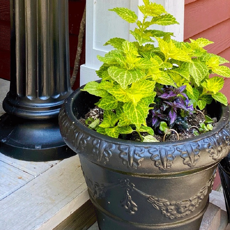 spray paint flower pots
