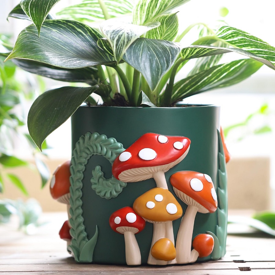 flowerpot fungus
