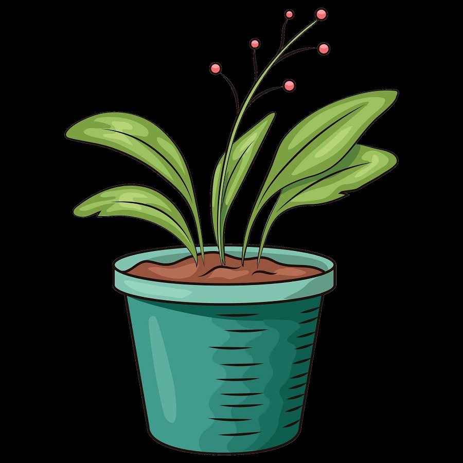 flowerpot clipart 