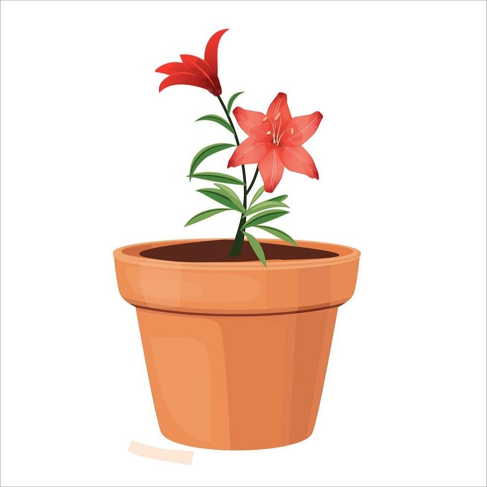 flowerpot clipart 