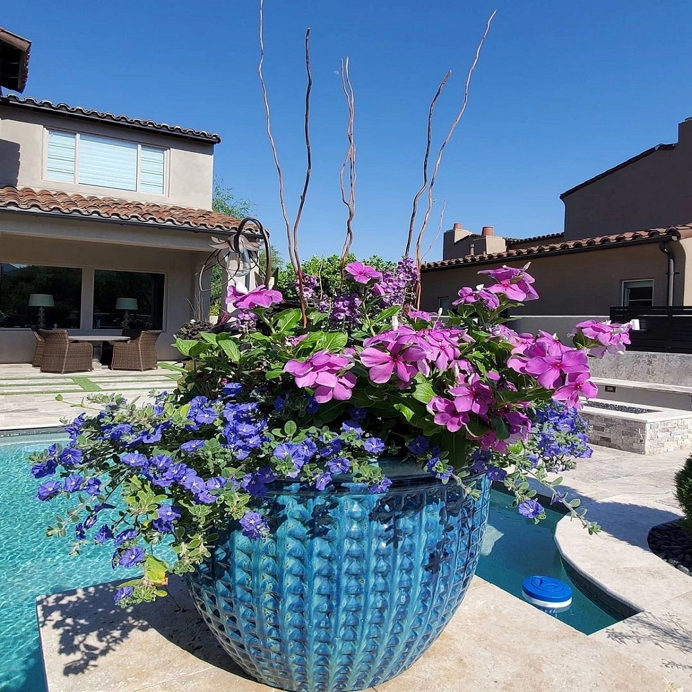 flower pots around pool ideas