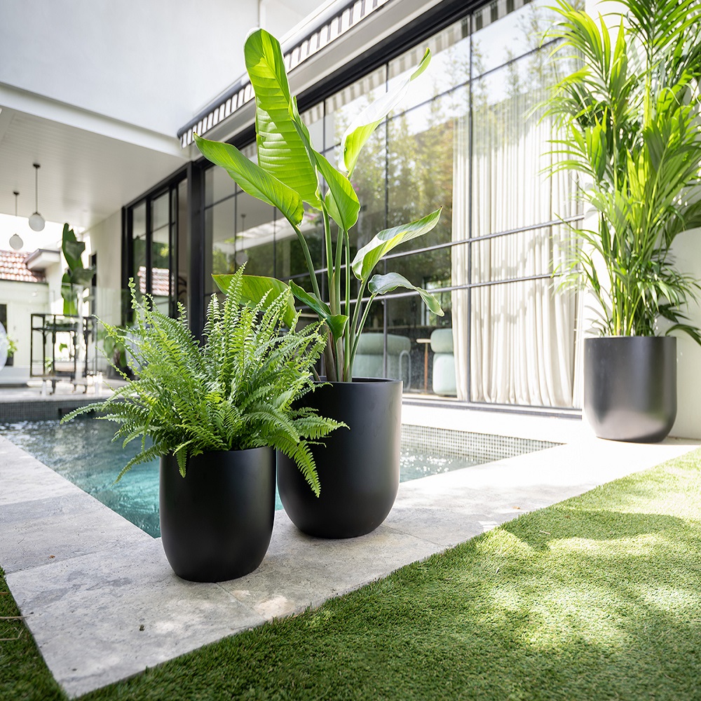 flower pots around pool ideas