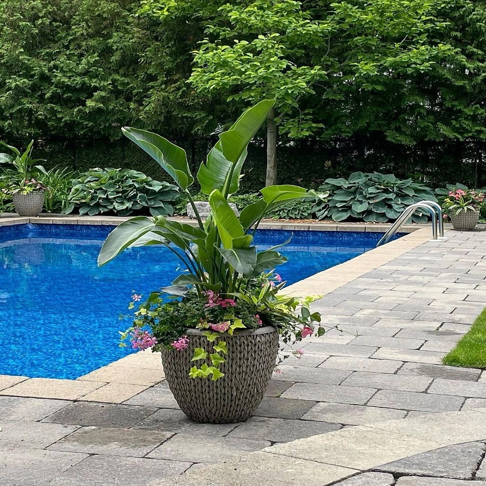 flower pots around pool ideas